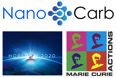 Ludger-Nanocarb-H2020-Marie Curie