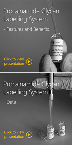 Ludger Procainamide Glycan Labelling - Presentations
