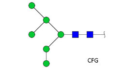 Ludger - Chromatogram of MAN-6 (Mannose 6)