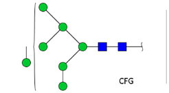 Ludger - Chromatogram of MAN-7 (Mannose 7)