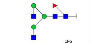 Ludger - Chromatogram of NGA2F glycan (FA2, G0F)