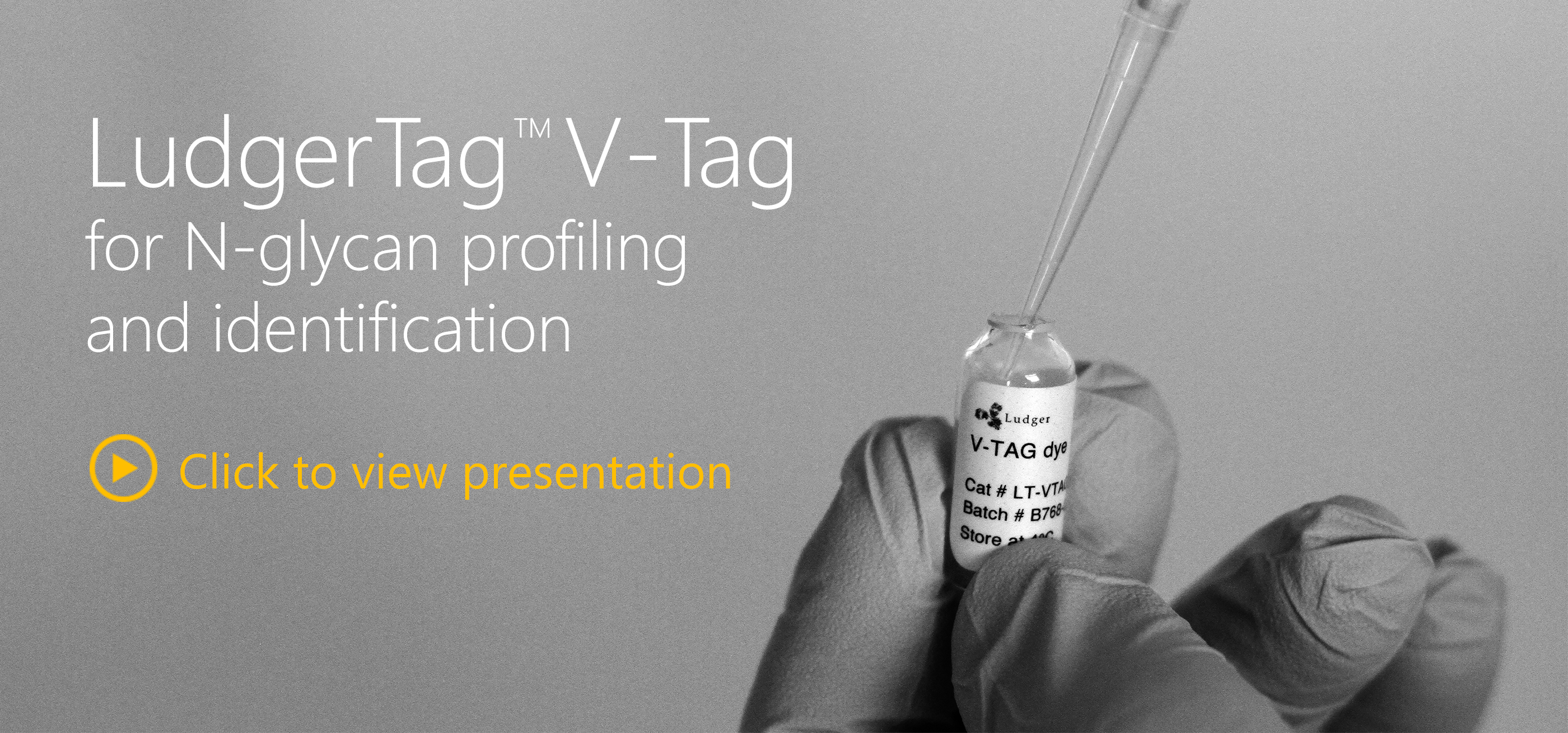 LudgerTag V-Tag for N-glycan Labelling