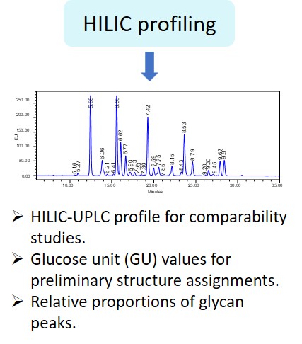 Ludger Glycan Analysis - Level 1 - HILIC glycan profiling