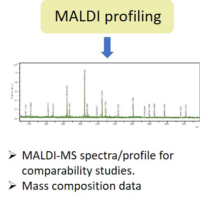Ludger Glycan Analysis - Level 1 - MALDI glycan profiling