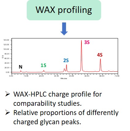 Ludger Glycan Analysis - Level 1 - WAX glycan profiling