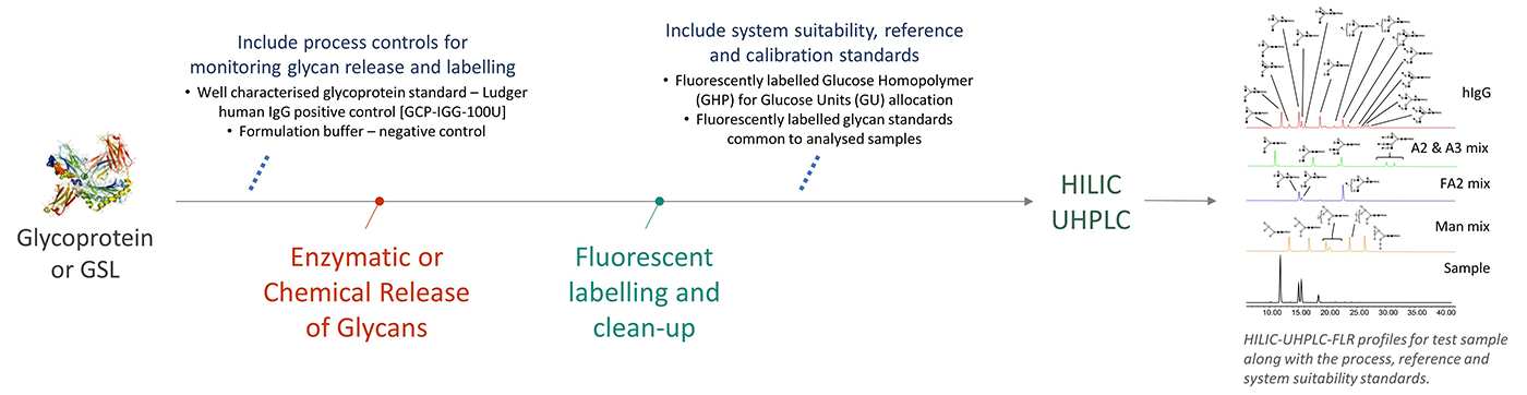 Ludger - Glycan Analysis - Workflow for Level 1 HILIC profiling
