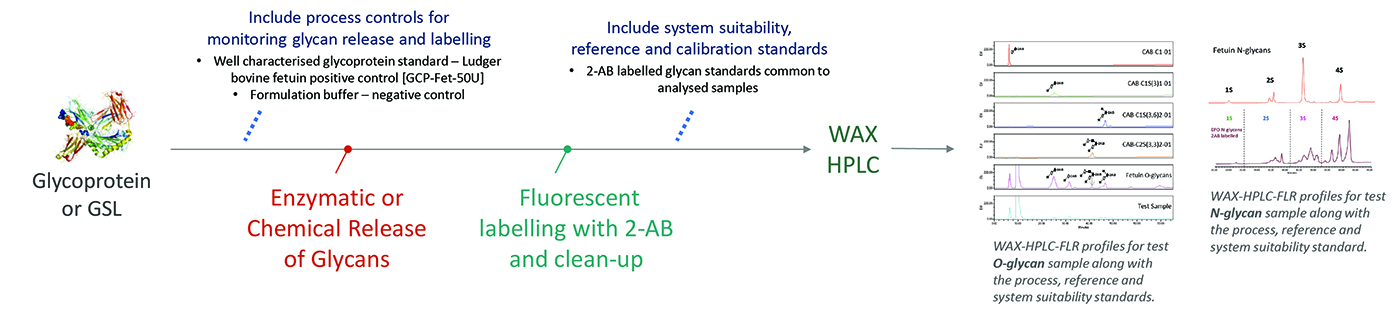 Ludger - Glycan Analysis - Workflow for Level 1 WAX profiling