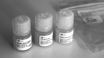 Ludger Quantitative Sialic Acid Release and DMB Labeling Kit