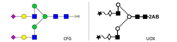 2-AB Labelled N-glycan Standards | Ludger Ltd