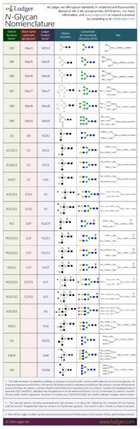 Ludger N-Glycan Nomenclature Table
