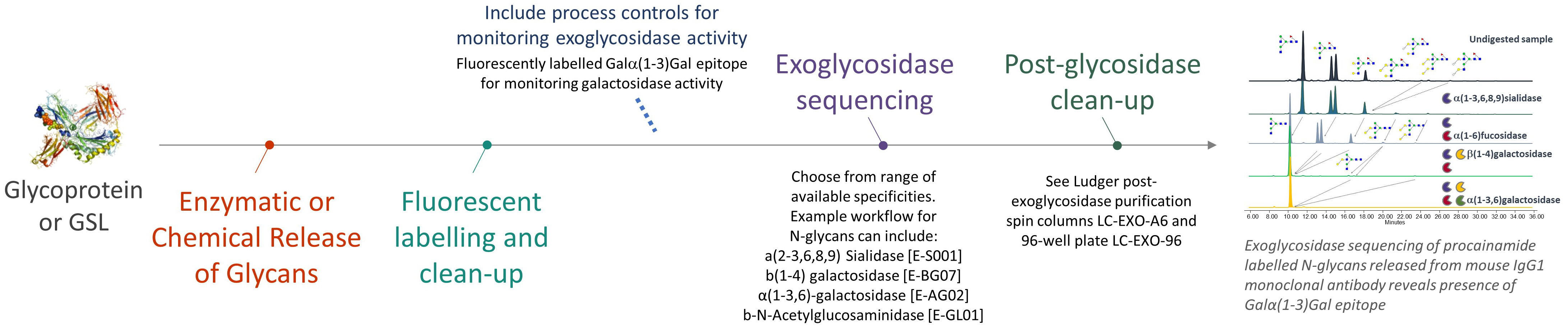 Ludger Exoglycosidase Sequencing Workflow