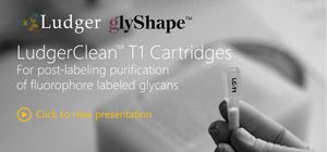 ludger T1 cleanup cartridges presentation