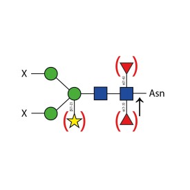 PNGase A