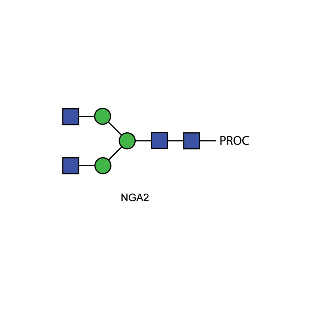 NGA2多糖(A2)标准品，普鲁卡因酰胺标记 CPROC-NGA2-01；参考价RMB 1715元（具体询价）